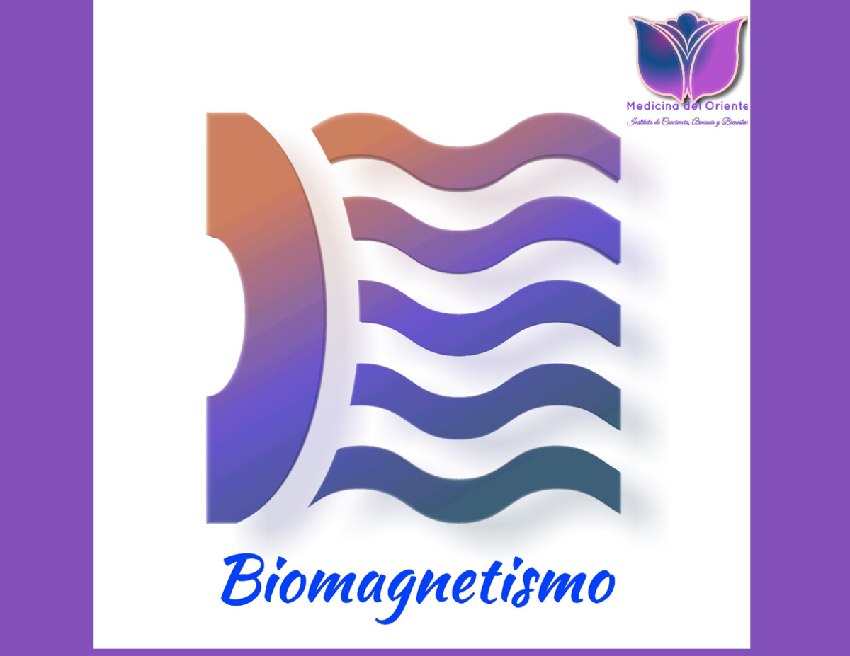 Curso Biomagnetismo